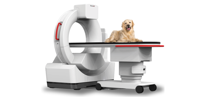 DetectVet_body-(1).png DetectVet_body-(1).png